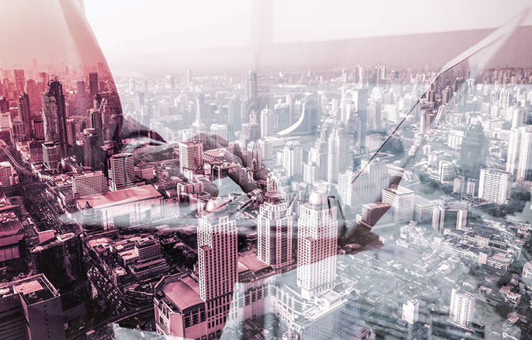 Integrated Portfolio Management