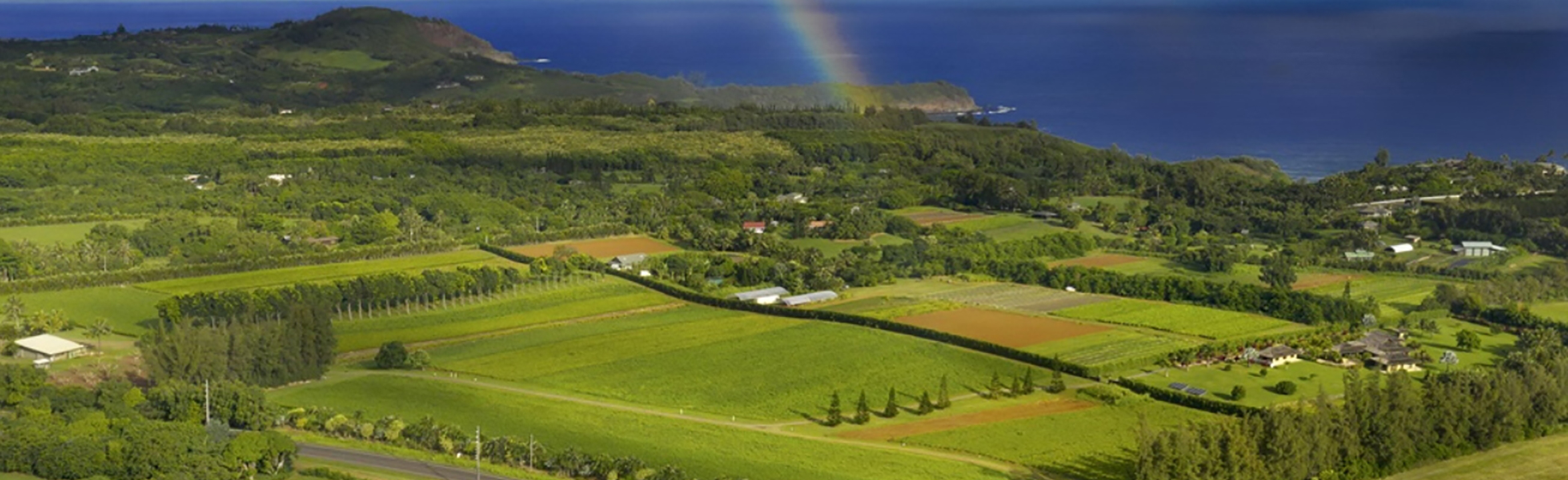 Kauai Organic Farms
