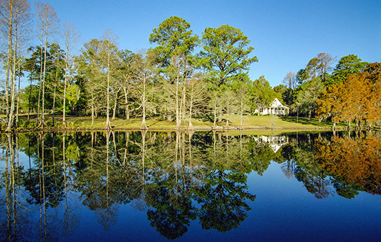 Location in the state of Louisiana