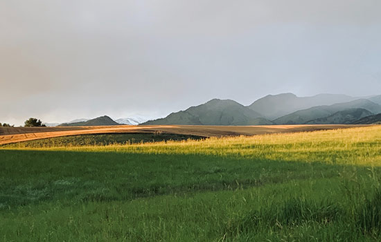 Location in the state of Montana