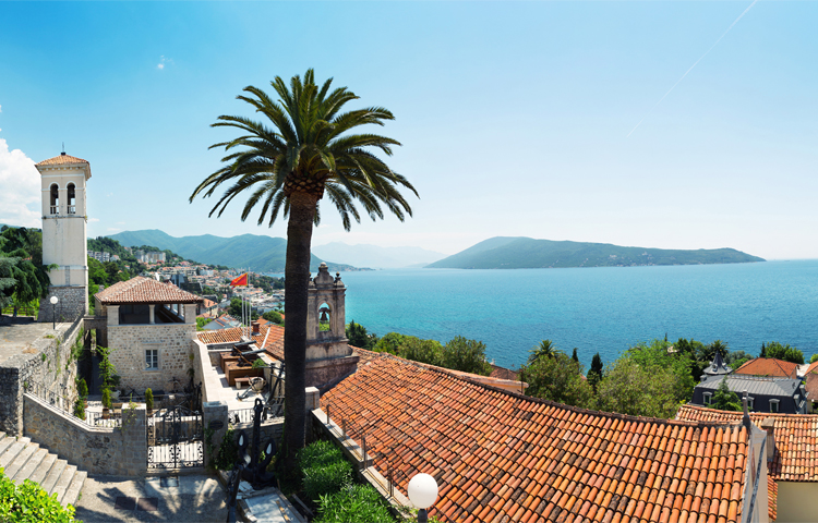 Montenegro Office