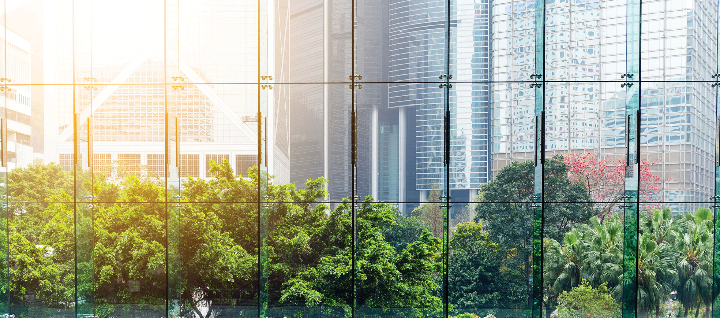 office-agency-leasing-banner