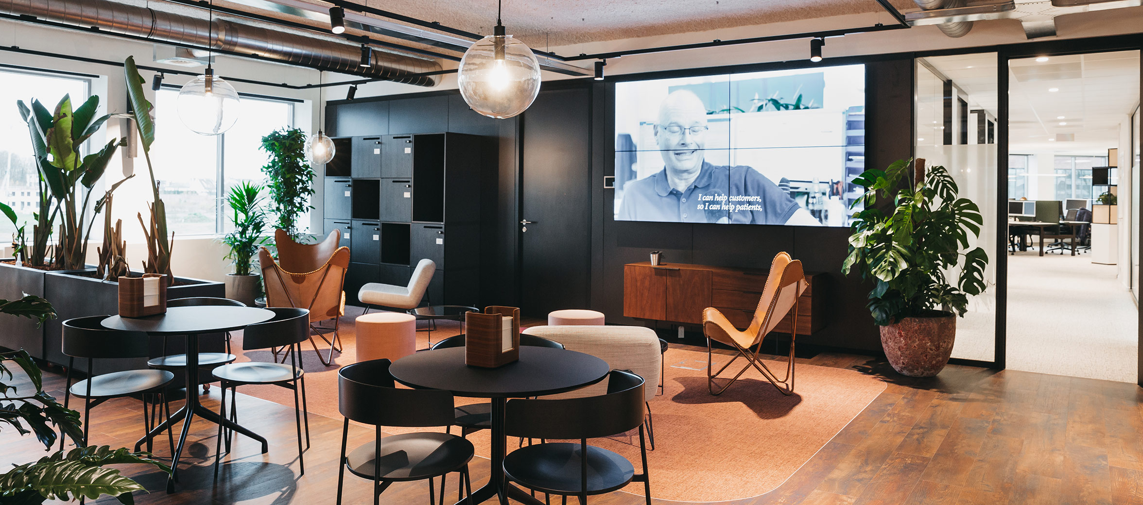Design and Build Roche Project