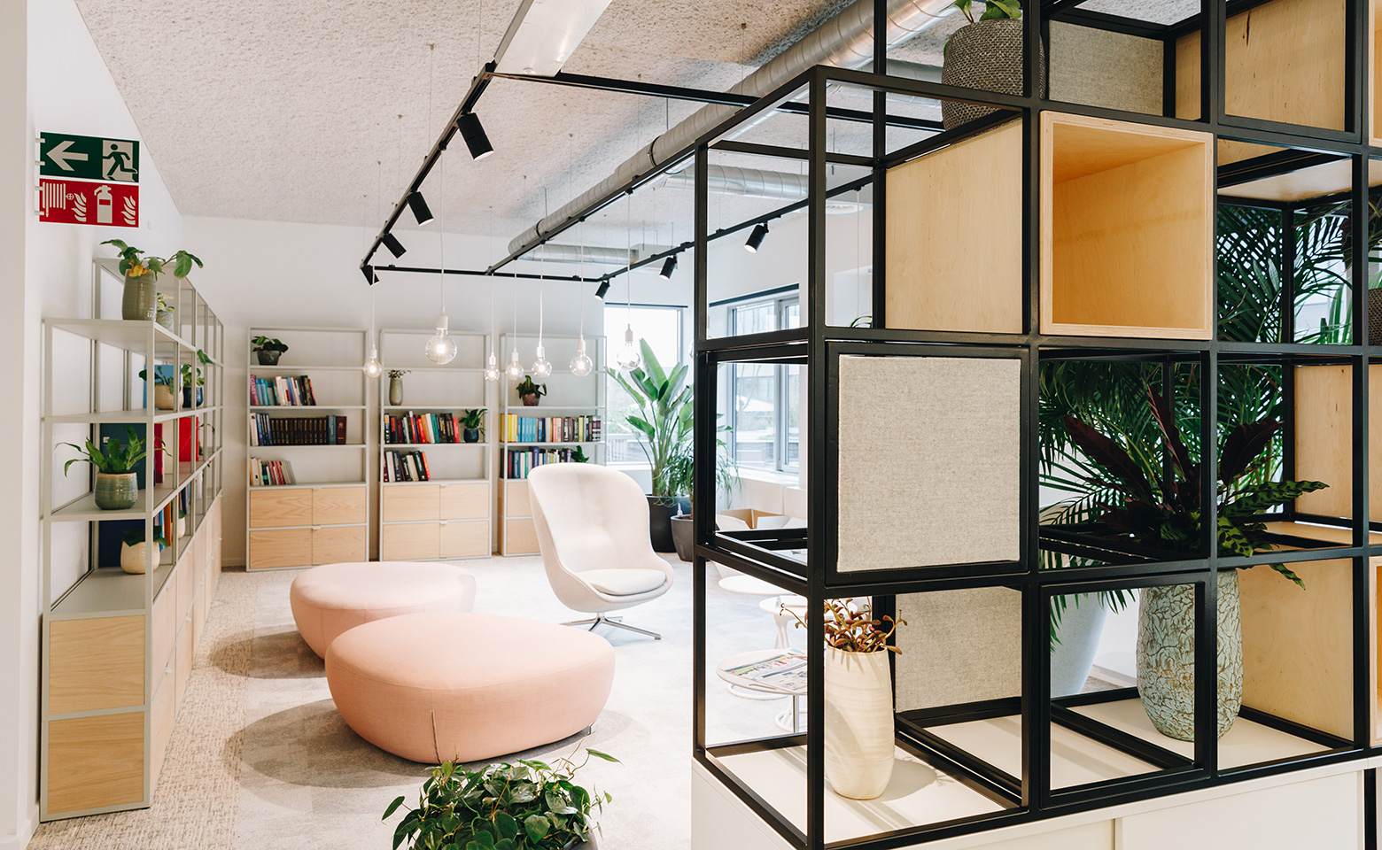 Roche new offices by Cushman & Wakefield Design + Build