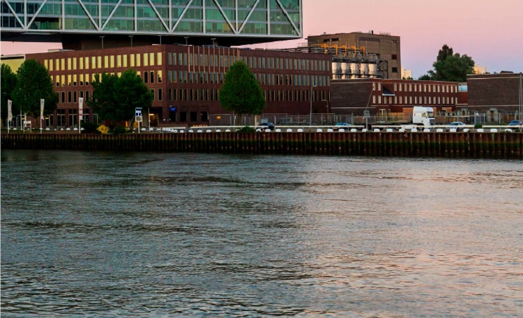 Rotterdam Zuid card